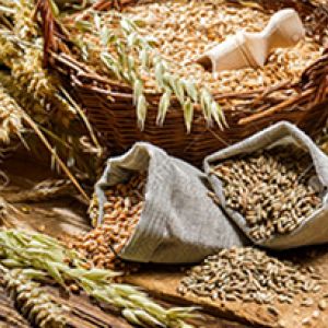 Cereal & Grains