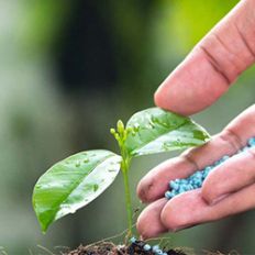 Fertilizer